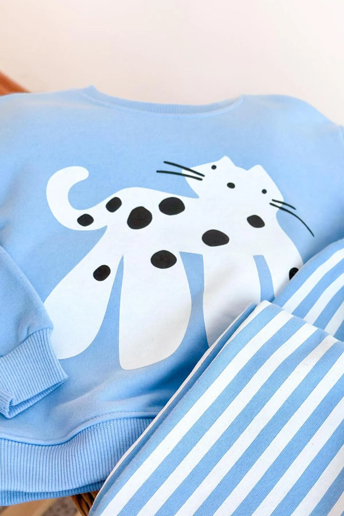 Miniğimin Cicileri Kedicik Baskılı Çizgi Detaylı Unisex Çocuk Takım - Bebe Mavisi