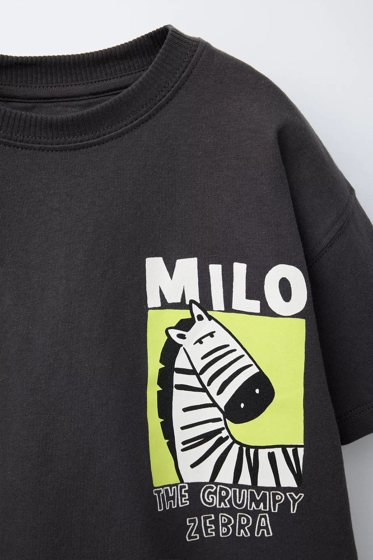 Miniğimin Cicileri Zebra Baskılı Tişört ve Zebra Desenli Şort Erkek Çocuk Takım - Antrasit