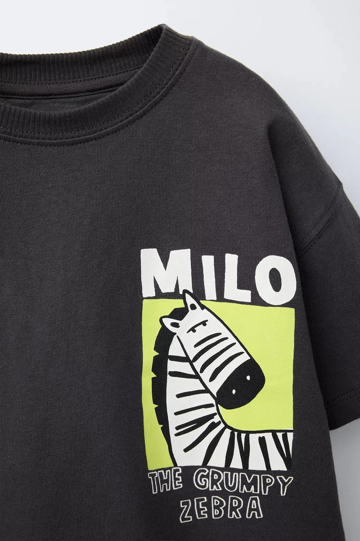 Miniğimin Cicileri Zebra Baskılı Tişört ve Zebra Desenli Şort Erkek Çocuk Takım - Antrasit