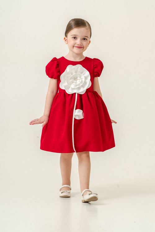 Miniğimin Cicileri Robalı Gül Desenli Kız Çocuk Kısa Kol Elbise - Kırmızı