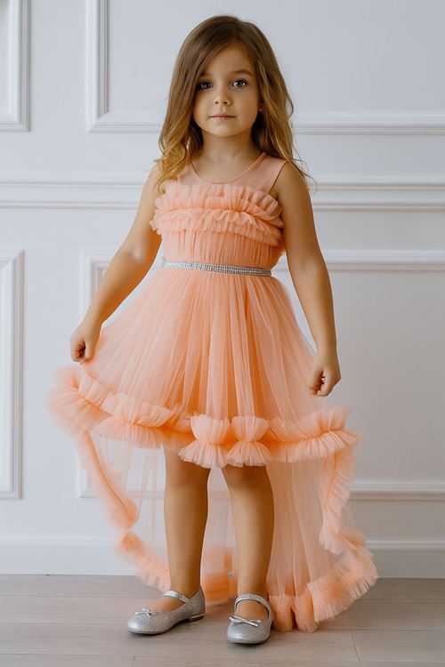 Miniğimin Cicileri Kuyruklu Önü Taş Detaylı Tül Kız Çocuk Elbise Abiye - Somon