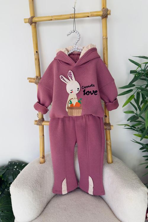 Miniğimin Cicileri Tavşan Detaylı Kışlık Kız Bebek Takım - Mürdüm