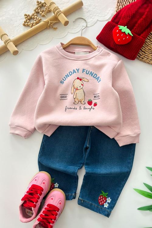 Tavşan Baskılı Çilek İşleme Kız Bebek Kışlık Takım - Pembe