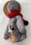 Miniğimin Cicileri Mickey Baskı Kapüşonlu Polar Astar Mont - Gri