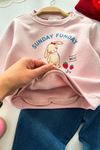 Tavşan Baskılı Çilek İşleme Kız Bebek Kışlık Takım - Pembe